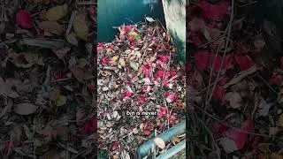 Секрет отличного компоста &mdash; садовые мусорные баки #компост #компостирование #компостирование101 #...