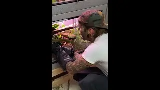 INSANELY CLOSE CALL with a DEADLY Mangshan VIPER! 😱