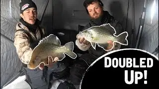 SO MANY FISH! - Ice Fishing Basin Crappies