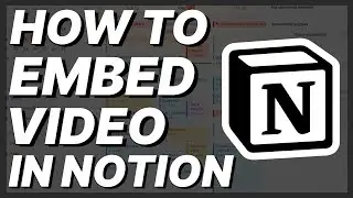 How To Embed Video In Notion