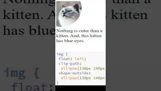 CSS clip path shape outside