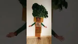 Part 2 | SAVE MOLLEM🌳🌳 &bull; In frame  Shrish Narvekar  The tree is trying to portray its emosions