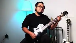 Nine Days - Absolutely (story of a girl) cover