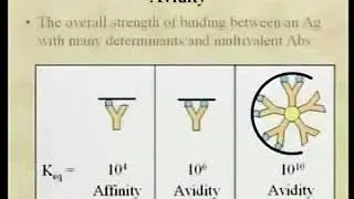 1.10. Antigen-Antibody reactions & Selected Tests-I - Immunology