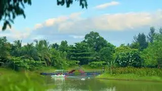 Organize Your Corporate Retreat at Nature Study Park | Team Building & Relaxation