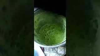 How to make aloe vera soup