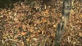 Organic farmer to sue over contamination