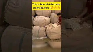 Match Stick Making | Part 1 | Science and Technologies |