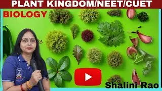 Plant Kingdom Bryophyta I Class11th Biology I Biological Classification I NEET I NCERT I CUET I