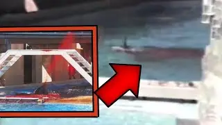 Orca Show Incident August 1989 - Live Footage