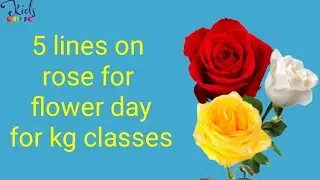 5 Lines On Rose For Flower Day | Essay On Rose | Few Lines On Rose #RoseEssay #flowerday