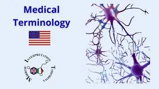 5 Medical Language STAT | English must know medical terminology with meaning