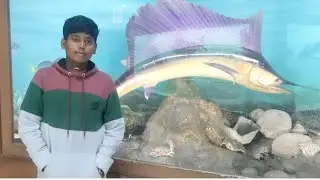 হরেকৃষ্ণ 🙏🙏 অনেক বছর পর আজকে আবারো প্রহ্লাদ কে নিয়ে এলাম এই জায়গায় সারাদিনটা ভালই কাটলো🥰 