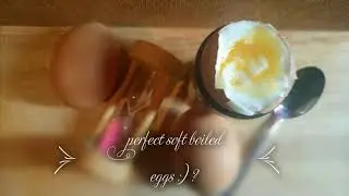 How to boil a egg ,,,,,,, Egg timer perfect soft boiled eggs the best ?:)