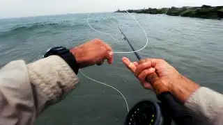 The BEST Most Intense Fast SURF FLY FISHING VIDEO for Striped Bass & Keeper Fluke