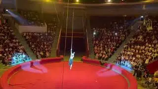 Кошкина Варвара. Воздушная мачта. Цирк 2022