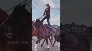 🔥 #horse #horsemanship #horsetraining #trickhorse #stunt #stuntrider #equestrian #donttryathome