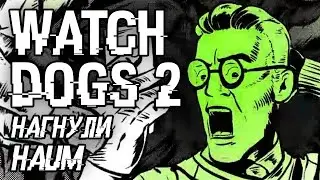Watch Dogs 2 Хакеры Dedsec Нагнули Haum!