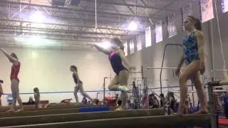 Catherine Biddle Recruiting (2017)