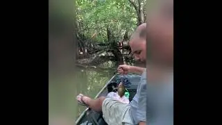 Super Fast, Easy, Fun, Brim fishing, catch over 200 in 2 days
