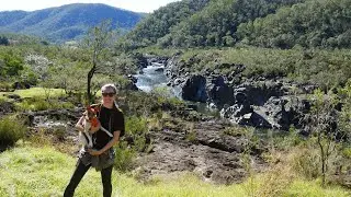 Traveling with Your Dog: Top Tips for Camping and Safety 🐕