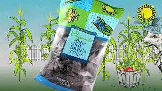 How Organic Blue Corn Tortilla Chips are Made | Trader Joe's