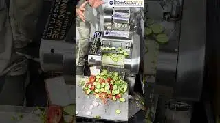 Vegetable cutting Machine | All in one cutting machine | Business idea  #shortsfeed #food#business
