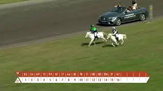 Pony race - Future Champions @ Waregem Koerse 2019