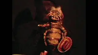 archy the cockroach in 