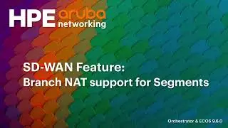 Функция SD-WAN &mdash; поддержка Branch NAT для сегментации