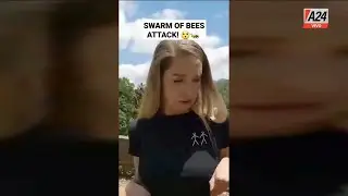 🐝  Siri Lanka: ataque de abejas asesinas