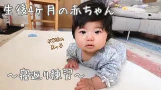 【生後4ヶ月】【寝返り】4姉妹/末っ子/むちむち/赤ちゃん
