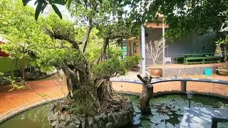 Ms 296 :Bán nhà sân vườn rộng thênh thang đang kinh doanh bán cà phê tặng full nội thất giá 1,580 tỷ