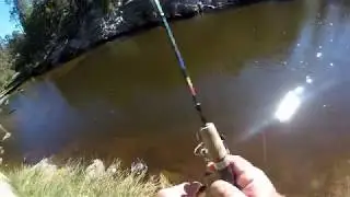 Browns & Rainbows @ Rose Canyon Lake, AZ