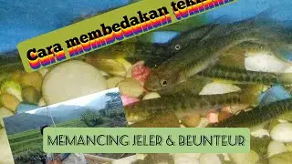 Cara membedakan tekhnik mancing jeler dan beunteur,#tutoriallengkap