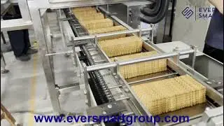 EverSmart Automatic Biscuit feeding machine