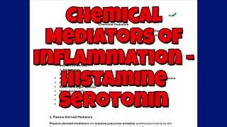 Chemical Mediators of Inflammation | Histamine, Serotonin & Vasoactive Amines | Pathology