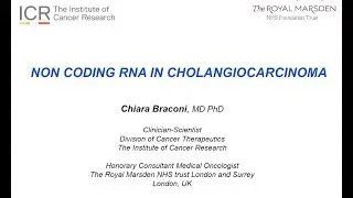 Non Coding RNAs in CCA - Chiara Braconi, Institute of Cancer Research, Royal Marsden (D3P18)