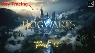 Hogwarts Legacy Part 12 - Continue Hogsfield & Advancing Merlin's Tasks
