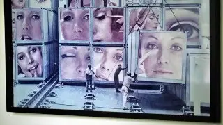 The Schwartz Art Collection: Portal to the World