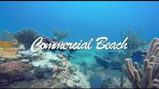 Scuba dive Lauderdale by the Sea, Commercial Beach
