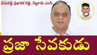 ప్రజా సేవకుడు, వేమిరెడ్డి ప్రభాకర రెడ్డి, నెల్లూరు ఎంపీ | Latest Telugu News | TVNXT News