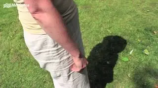The shadow rule - Cancer Research UK