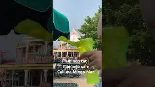 I was at six flags and this happened lol #tiktok #rap #chicago #fashion #music #fashiondesign