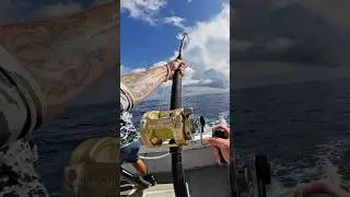 🎣 Double Hookup Trolling Live Bait 🌊🔥