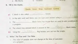 Programming In Scratch 3.0 || Class - 5 || Question / Answers || Computer 👍