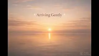 ✨ Arriving Gently ✨