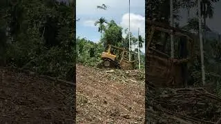 Effective Techniques for Cleaning Mountain Land with a D6R XL Bulldozer