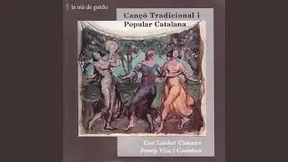 El testament d'Amèlia
