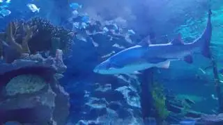 Aquaria KLCC 20190831 191259